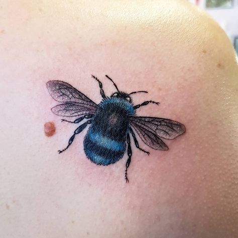 𝐃𝐑𝐄𝐀 𝐃𝐀𝐑𝐋𝐈𝐍𝐆 𝐓𝐀𝐓𝐓𝐎𝐎 on Instagram: “Here is a blue bumblebee 💙🐝 Blue bees exist you know! ​ ​❤ @withlovetattoo #tattoo #tattoos #ink #bumblebee #bumblebeetattoo #bee…” Blue Bumble Bee, Blue Carpenter Bee Tattoo, Blue Banded Bee Tattoo, Blue Bee Tattoo, Darling Tattoo, Insect Tattoos, Bumble Bee Tattoo, Bee Drawing, Insect Tattoo