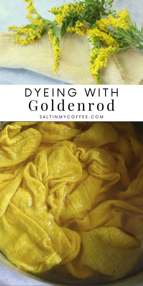 How to dye with goldenrod Herbal Kitchen, Eco Dyeing Fabric, Lemon Yellow Color, Fabric Dyeing Techniques, Diy Dye, Natural Dye Fabric, Eco Dyeing, Fabric Dyeing, Natural Resource