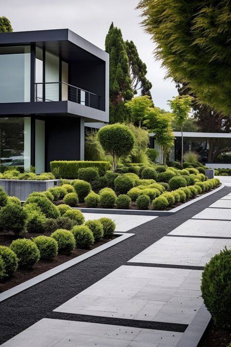 Front Yard Hydrangea Landscaping, Contemporary Landscaping, Plant Arrangements, Modern Front Yard, Modern Backyard Landscaping, Topiary Garden, Landscaping Inspiration, Front Yard Design, House Landscaping