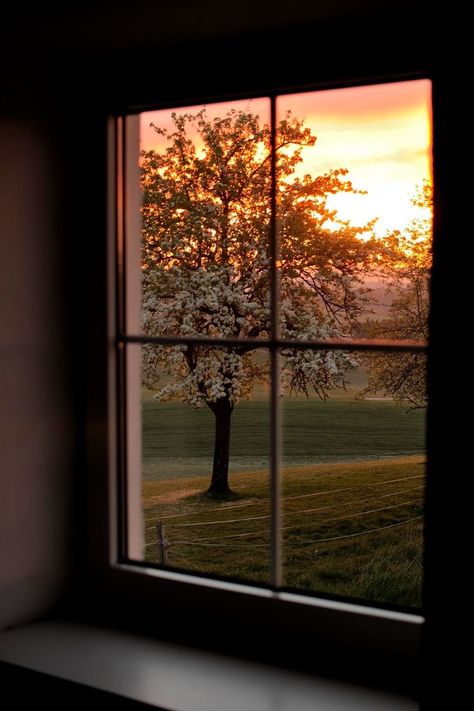 Window With A View, An Open Window, Wow Art, Window View, Vsco Filter, Bid Day, Through The Window, Open Window, Nature Aesthetic