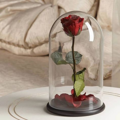 décoration St Valentin en guirlande de cœurs en carte ancienne Rose In Glass Dome, Beauty And The Beast Rose, Rose Romantic, Modern Disney Characters, Rose Belle, Childrens Shop, Red Gift Box, Enchanted Rose, Brick Exterior House