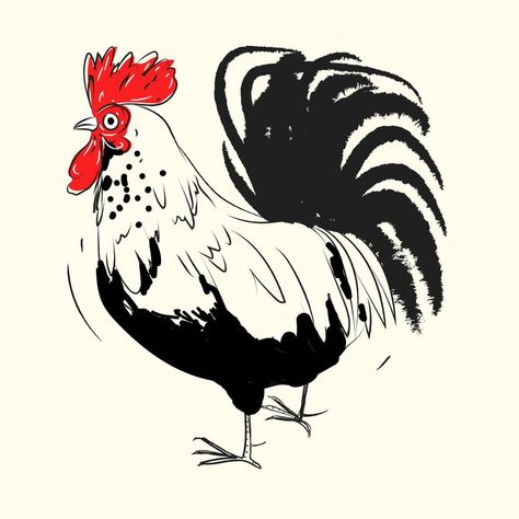 Chicken Drawings, Super Graphics, Rooster Illustration, Icon Character, Chicken Drawing, Character Mascot, Animal References, Hand Drawn Vector Illustrations, Green Valley