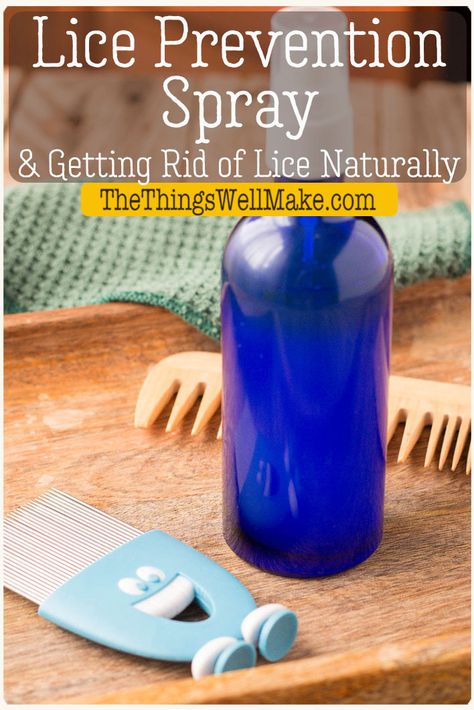 Help keep lice away with this easy homemade lice prevention spray made with essential oils. Also, learn how we rid ourselves of lice naturally. #thethingswellmake #miy #lice #liceprevention #repellentspray #naturalhaircare Lice Spray Essential Oils, Essential Oils For Lice, Lice Prevention Spray, Lice Spray, Peppermint Spray, Lice Remedies, Lice Shampoo, Lice Prevention, Lice Eggs