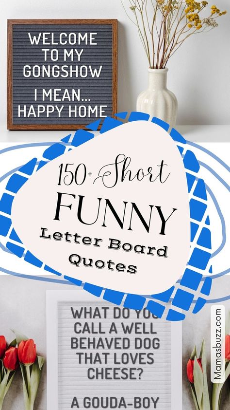 Need a huge list of funny Letter board quotes and message board quotes to choose from? Look no further! This article has all the best funny letter board ideas for your home decor signs and felt letter boards. Funny Letter Board Ideas, Funny Letter Board Quotes, Funny Letter Board, Letter Board Ideas, Letterboard Signs, Letter Board Quotes, Loving You Letters, Message Board Quotes, Valentines Letter