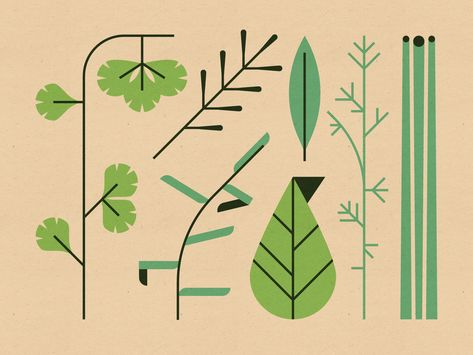 Mid Century Illustration, Leaves Illustration, Grass Valley, Illustration Style, Herbs And Spices, Design Jobs, Plant Illustration, Planting Herbs, Silver Spring