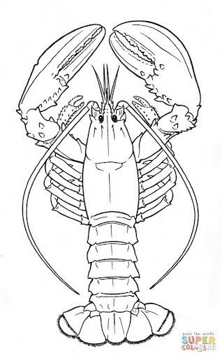 Lobster Coloring Page, Marine Drawing, Ocean Worksheets, Lobster Drawing, Lobster Tattoo, Sketches Book, Lobster Art, Dinosaur Sketch, Coloring Page Free Printable