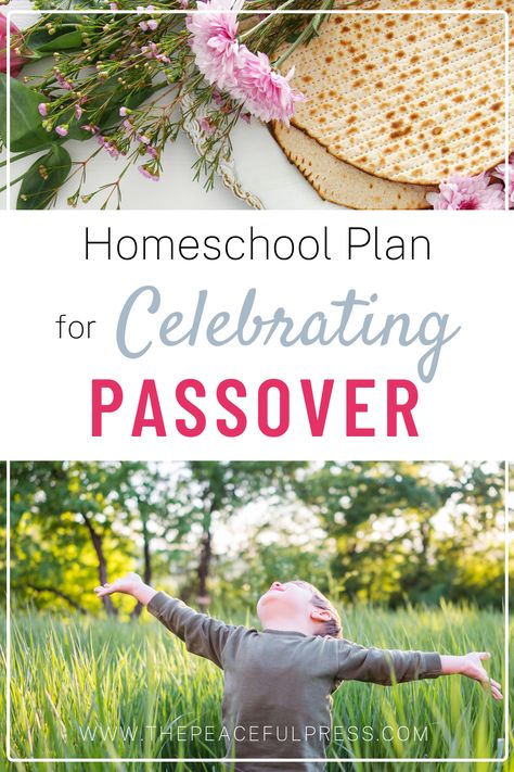 Passover Activities For Kids, Sedar Meal, Passover Crafts Preschool, Passover For Kids, Passover Crafts For Kids, Passover Worksheets, Passover Art, Passover 2024, Passover Printables