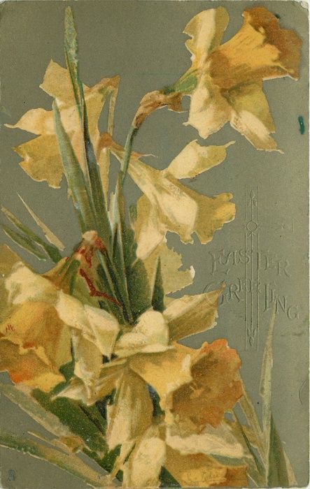 DAFFODILS six flowers - TuckDB | Flower painting, Daffodils, Still life flowers Catherine Klein, Yellow Daffodils, Daffodil Flower, Image Nature, China Painting, Beatrix Potter, Pin Board, Floral Illustrations, Art Floral