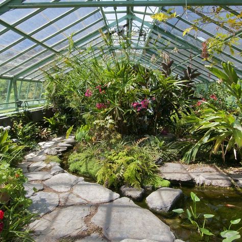 Tropical Greenhouses, Conservatory Greenhouse, Glass Houses, Large Greenhouse, Indoor Greenhouse, Greenhouse Interiors, Home Greenhouse, Greenhouse Plans, Fantasy Homes