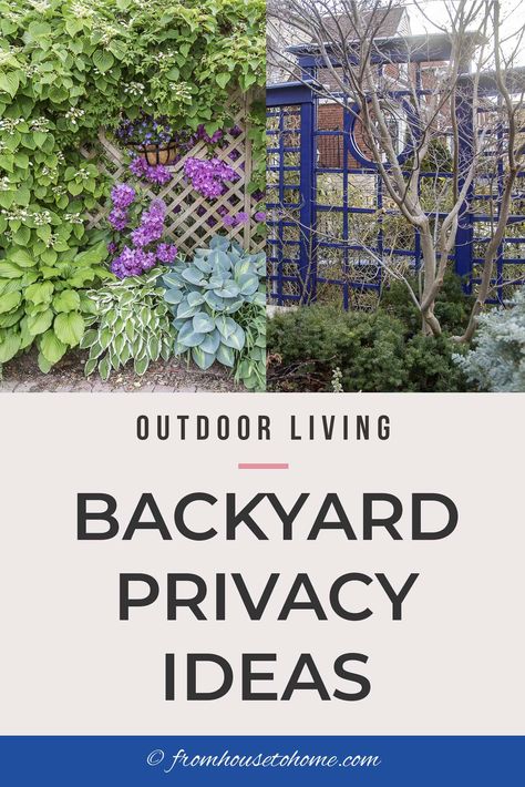 Outdoor Privacy Screen Ideas, Privacy Backyard, Backyard Privacy Ideas, Privacy Screen Ideas, Garden Screens, Privacy Ideas, Yard Deck, Privacy Landscaping, Diy Trellis