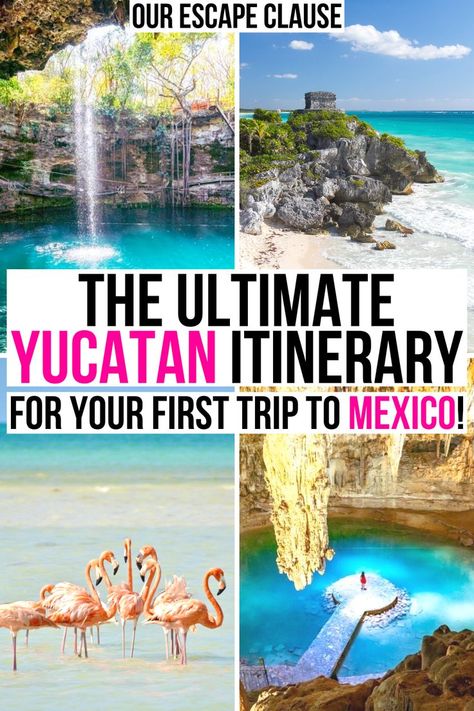 Beaches, cenotes, ruins, and beyond: here's how to pull off the perfect Mexico road trip in the Yucatan peninsula! road trip yucatan mexico itinerary | yucatan road trip itinerary | best things… More Yucatan Mexico Itinerary, Yucatan Road Trip, Yucatan Travel, Places To Visit In Mexico, Mexico Road Trip, Cancun Vacation, Mexico Itinerary, Merida Mexico, Trip To Mexico