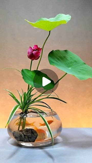 Submerged Flowers, Flower Arranging Tutorial, Arreglos Ikebana, Sogetsu Ikebana, Flower Games, Ikebana Arrangements, Ikebana Flower Arrangement, Flower Vase Arrangements, Flower Video