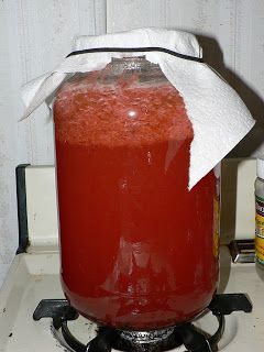 Strawberry Rhubarb Wine Recipe, Rhubarb Wine Recipe Easy, Rhubarb Wine Recipe, Rhubarb Wine, Wine Making Recipes, Homemade Wine Recipes, Mead Recipe, Gaps Recipes, Wine Recipe