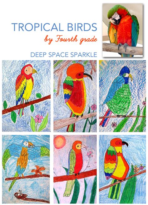 Parrot or tropical bird art lesson Bird Art Projects For Kids, Bird Art Projects, Tropical Bird Art, Parrot Art, Deep Space Sparkle, Animal Art Projects, Parrots Art, 4th Grade Art, 5th Grade Art