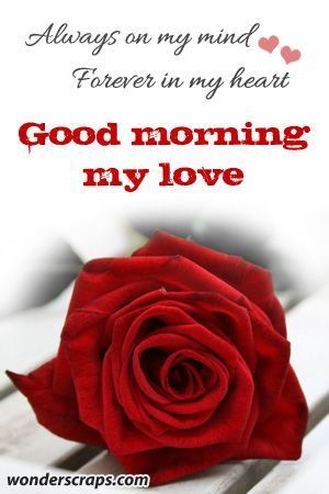 Good Morning Love You, Morning My Love, Good Morning Handsome, Sweetheart Quotes, Quotes Good Morning, Morning Sweetheart, Good Morning Love Messages, Morning Love Quotes, Good Morning My Love