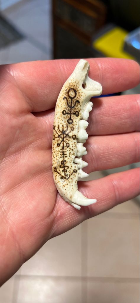 Bone Pyrography, Bone Collecting, Pagan Style, Animal Bone Jewelry, Oddities Jewelry, Animal Concept, Pagan Fashion, White Raven, Cork Ideas