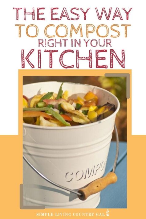 How to compost indoors. Composting 101 for backyard gardening. Organic gardening tips with indoor compost. Compost beginner tips. Setting up a kitchen compost area. How to stop food waste with composting. The benefits of composting and how to use it to explode your garden this year. #composting #kitchencompost #indoorcomposting Indoor Compost, Healthy Garden Soil, Composting 101, Composting Methods, How To Compost, Composters, Kitchen Compost, Lasagna Gardening, Electric Kitchen