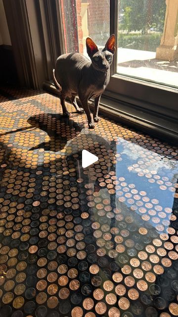 Kat Von D on Instagram: "THE PENNY FLOOR IS DONE!! Countless hours and 3,000 pennies later! 🖤

#casavond" Penny Floor Designs, Kat Von D Style, Penny Mosaic, Penny Floor, Floor Ideas, Little Cottage, September 16, Kat Von, Kat Von D