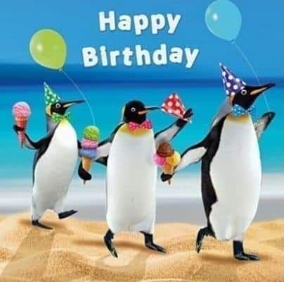 Happy Birthday Penguin, Hamster Birthday, Birthday Penguin, Penguin Birthday Party, Penguin Parade, Penguin Birthday, Funny Happy Birthday Wishes, Happy Birthday Kids, Funny Hamsters