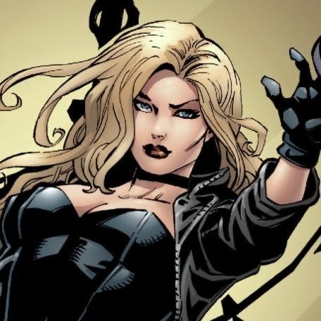 Dc Women Art, Dc Comic Icons Women, Black Canary Dc Comics, Dc Comics Black Canary, Black Canary Cartoon, Dinah Lance Icons, Black Dc Characters, Black Canary Comic Icons, Dc Women Comic