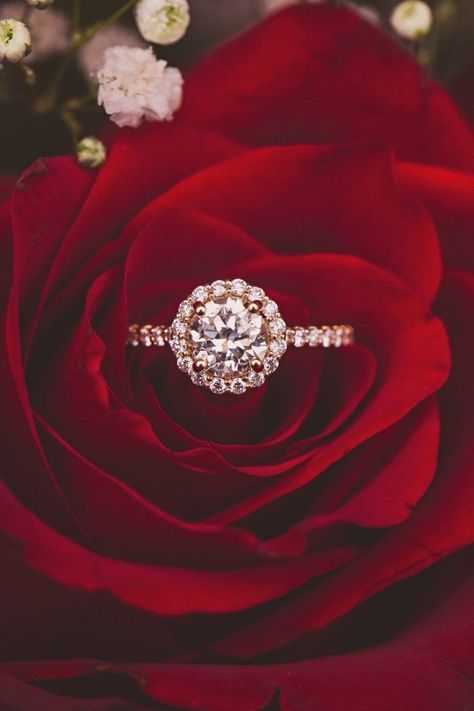 Image 14 of Gina and Coby Engagement Ring Photography, Big Wedding Rings, Ring Photography, Rings Ideas, Engagement Ring Photos, Engagement Rings Affordable, Wedding Rings Halo, Best Engagement Rings, Stunning Engagement Ring