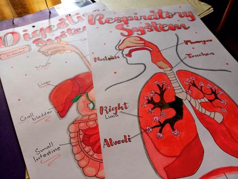 Printed? Nah. Respiratory System Drawing, Bond Paper Design, Biology Art, Bond Paper, Respiratory System, Digestive System, Respiratory, School Projects, Paper Design