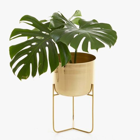 Zara Home Golden Plant Pot Copper Home Accessories, Gold Planter, Gold Home Accessories, Iron Planters, Zara Home Collection, Home Basics, Bohemian Home, Indoor Furniture, Zara Home