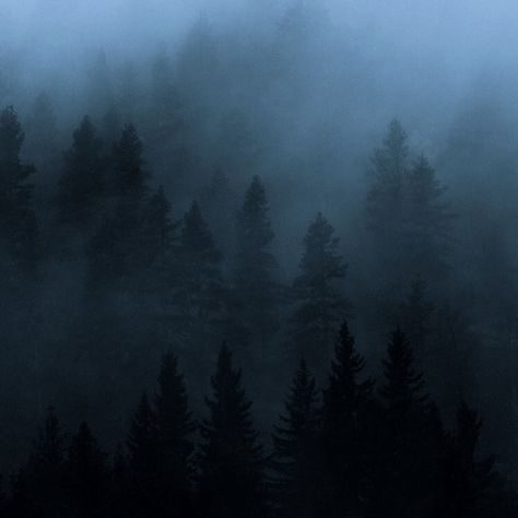 Blue Weather Aesthetic, Blue Woods Aesthetic, Foggy Blue Aesthetic, Blue Twilight Aesthetic, Raven Core, Lori Aesthetic, Salvia Palth, Dark Weather, Werewolf Aesthetic