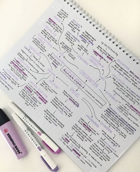 The use of Purples Struktur Teks, Studie Hacks, خريطة ذهنية, Organizator Grafic, Studera Motivation, Review Notebook, College Notes, Bullet Journal Notes, My Notes