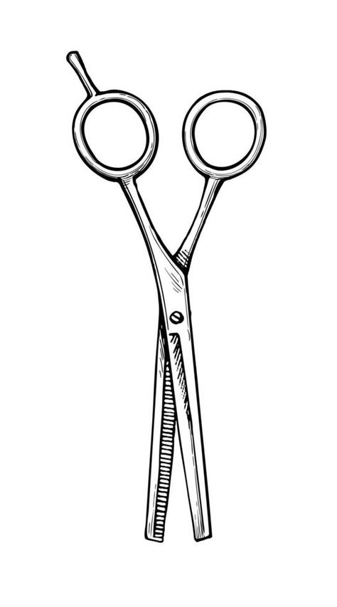 Hairdressing scissors. Ink sketch isolated on white background. Hand drawn vector illustration. Vintage style stroke drawing. Scissors Sketch, Hairdressing Scissors, Hand Drawn Vector Illustrations, Drawing Drawing, Illustration Vintage, Hand Drawn Vector, Ink Sketch, Vintage Style, White Background