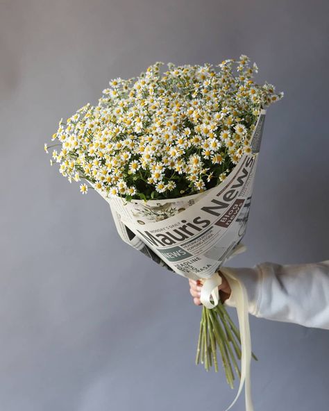 Single Flower Bouquet, Flower Boquet, Diy Bouquet Wrap, Jasmine Flowers, Daisy Bouquet, Boquette Flowers, Bouquet Wrap, Nothing But Flowers, Flower Therapy