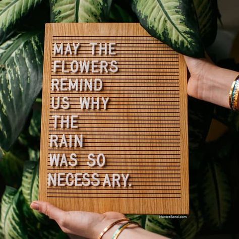 Letter Board Quotes Procrastination, Letterboard Signs, Letterboard Quotes, Message Board Quotes, How To Believe, Felt Letter Board, Word Board, Letter Boards, Board Quotes