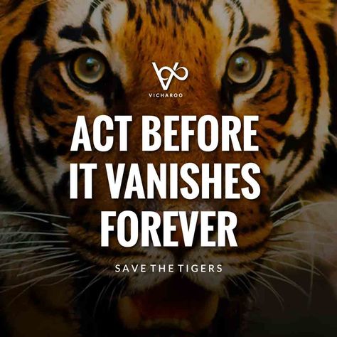 Save Tiger slogans, taglines & quotes Wildlife Conservation Quotes, Save Tiger Slogan, Save The Tiger Poster, Save Wildlife Slogans, Save Tiger Poster Ideas, Tiger Quotes Inspiration, Wildlife Quotes, Save Animals Poster, Elephant Drawings