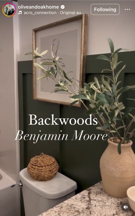 Moody Earthy Bathroom, Moody Earthy Home, Moody Paint Palette, Backwoods Benjamin Moore, Open Concept Paint Schemes, Half Bath Paint Colors, Olive Green Bathrooms, Moody Paint, Paint Color Inspiration