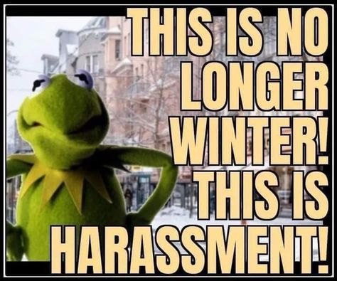 Winter Memes Funny, Sick Humor Cold, Brrrrr Quotes Its Cold, So Cold Humor, Cold Outside Humor, Its Cold Outside Funny, Cold Humor, Winter Humor, Sick Humor