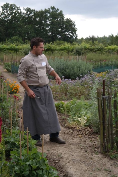 kasteel-hex-belgium-kitchen-garden-visit-gardenista-6 Vegetable Garden Path, Veggie Drawings, Chefs Garden, Garden Path Design, Vegetable Garden Planters, Summer Crops, Fall Vegetables To Plant, Growing Raspberries, Kitchen Gardens