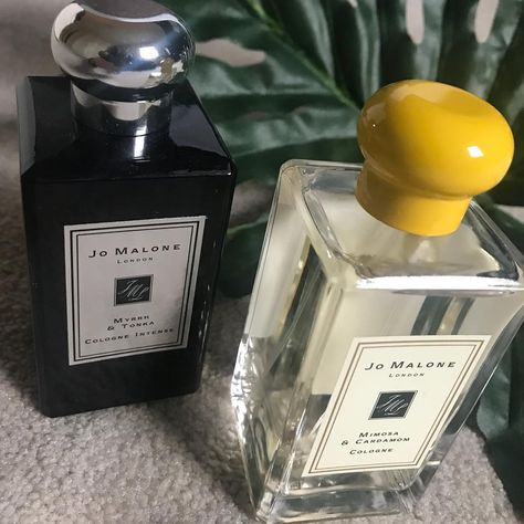 km on Instagram: “Favorite Combination : take a soft and comforting Fragrance like Mimosa & Cardamom to a new level with the spicy and warm Cologne Intense…” Jo Malone Perfume, Fragrance Storage, Perfume Set, Skin Nails, Best Fragrances, Hair Skin Nails, Luxury Perfume, Perfume Brands, Jo Malone