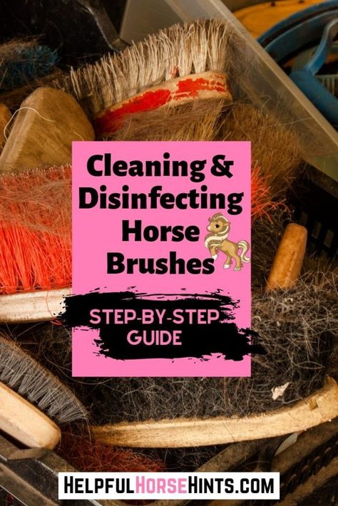 Cleaning Horse Tack, How To Clean Horse Brushes, Horse Grooming Tips, Horse Maintenance, Horse Grooming Supplies, Barn Hacks, Horse Brushes, Horse Information, Horse Knowledge