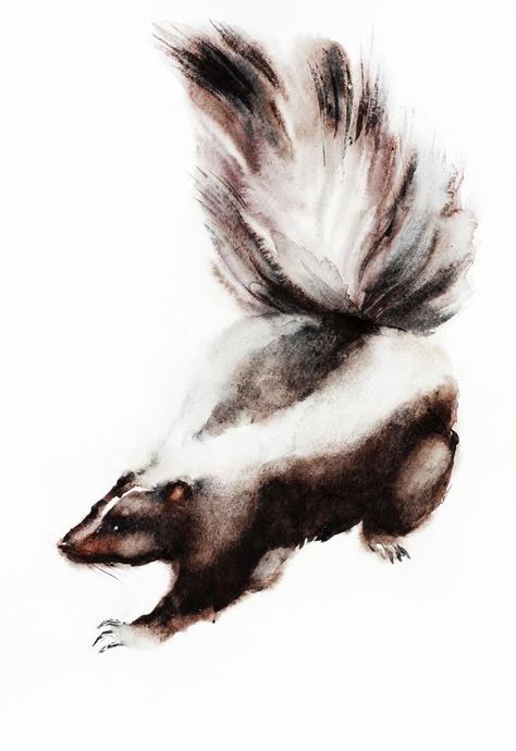 Skunk Art Print Watercolor Painting Original Nursery wall art decor kids room Wildlife Woodchuk Animal illustration  poster black skunk gift Skunk Watercolor, Skunk Illustration, Skunk Art, Striped Skunk, Animal Watercolour, Night Creatures, Land Animals, Nursery Watercolor, Watercolor Nursery