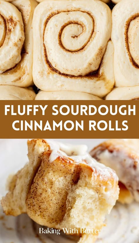 Deliciously Soft Sourdough Cinnamon Rolls, a must-try for a luxurious and tangy dessert. Breads Recipes, Recipe Using Sourdough Starter, Mouthwatering Desserts, Sourdough Cinnamon Rolls, Cinnamon Bun Recipe, Chicory Recipe, Cheesecake Oreo, Sourdough Starter Discard Recipe, Fantastic Recipes