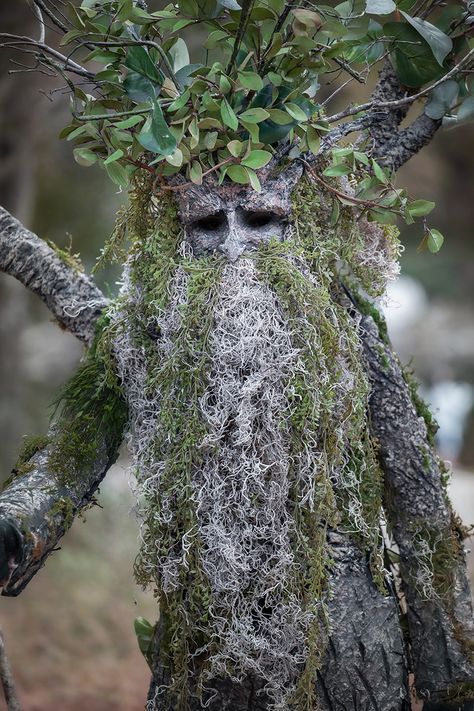 Forest Theme Costume Ideas, Tree Beard Costume, Male Woodland Creature Costume, Tree Fairy Costume, Willow Tree Costume, Tree Costume Men, Diy Tree Face, Diy Tree Faces, Enchanted Forest Costume Male