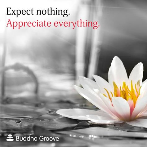 https://www.facebook.com/BuddhaGroove/photos/a.329715940653.343699.105192115653/10155367707955654/?type=1 Expect Nothing Appreciate Everything, Buddha Groove, Appreciate Everything, Expect Nothing, Notable Quotes, Wednesday Wisdom, My Philosophy, Kindness Quotes, Attitude Of Gratitude