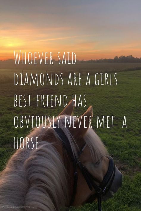 Cowgirl Quotes Aesthetic, Equestrian Wallpaper Iphone, Horse Sayings Quotes, Riding Horses Aesthetic, Horse Captions Instagram, Horse Girl Quotes, Horse Love Quotes, Equestrian Wallpaper, Cute Horse Quotes