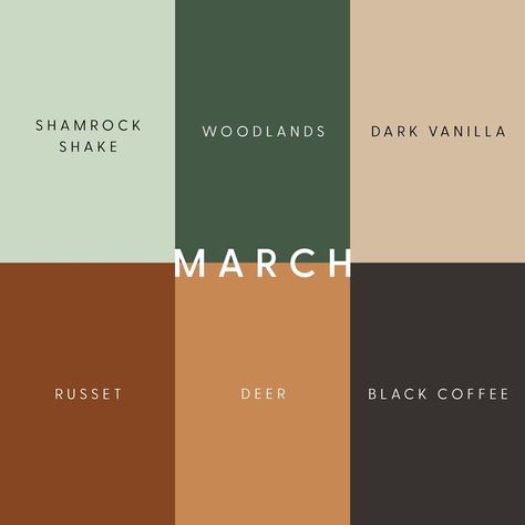 Hayley Barile | Graphic Designer & Digital Nomad | The energy is still sleepy in the colours of March. We are starting to see peeks of the browns that lie under the snow but not much has… | Instagram March Wedding Colors, Motion Graphics Video, March Colors, Cool Color Palette, House Color Palettes, Craftsman Style House, Brown Color Palette, Hex Color Codes, Concept Development