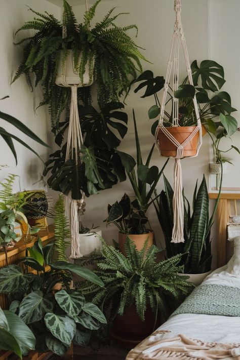 Boho Bedroom Greenery Ideas Bedroom Hanging Plants, Plants In The Bedroom, Bedroom Greenery, Bedroom Plants Decor, Plants Bedroom, Hang Plants, Boho Bedroom Ideas, Bring Nature Indoors, Bedroom Plants