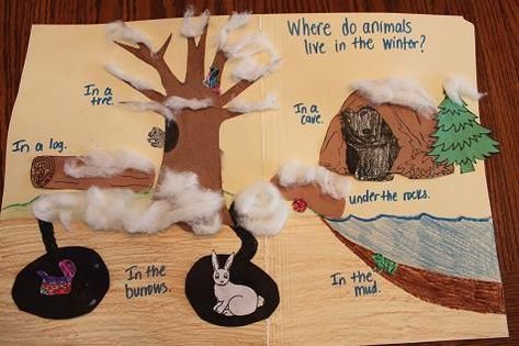 Where do animals live in the winter? Craft or archive to go along with hibernation Winter Sleep Animals Craft, Animal Homes Preschool Crafts, Animals In Winter Art, Migration And Hibernation Activities, Diurnal And Nocturnal Animals, Animal Homes Craft, Hibernation Art, Hibernation Crafts, Hibernation Preschool