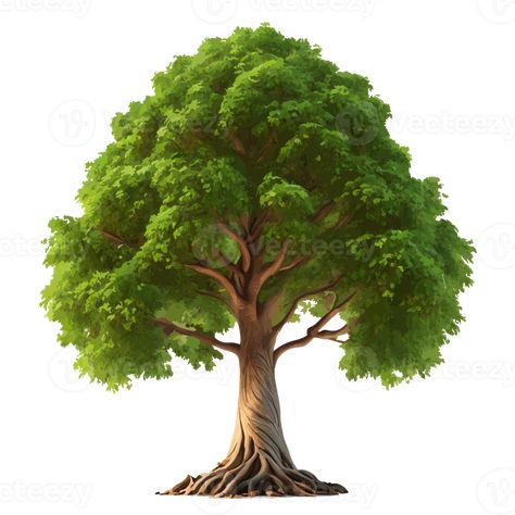 big tree on white blackground. AI generative Blur Image Background, Joker Pics, Graphic Design Assets, Tree Png, Tree Saw, Wedding People, Tree Illustration, Big Tree, Cityscape Photos