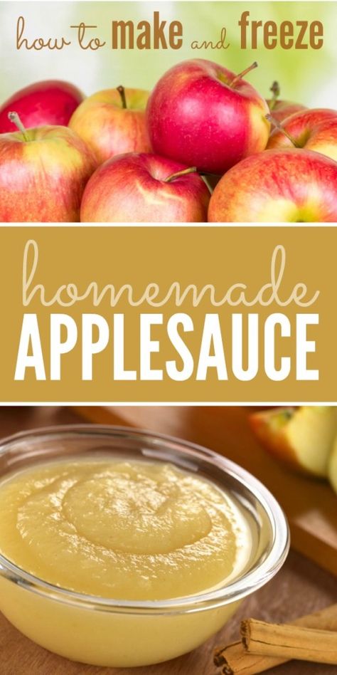 Stocking Your Freezer with Homemade Applesauce Homemade Apple Sauce, Canned Applesauce, Homemade Applesauce Recipes, Applesauce Recipe, Apple Sauce Recipes, Homemade Applesauce, Apple Sauce, Homemade Baby Foods, Freezer Bags