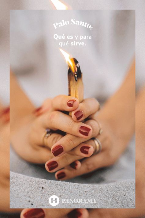 Palo Santo: ¿Qué es y para qué sirve? Feng Shui, Holding Hands, Santos