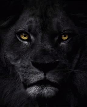 Lion Protector GIF - Lion Protector - Discover & Share GIFs Lion Gif, Gorgeous Animals, Animated Art, Lion King Pictures, Black Lion, Lion Images, Wildlife Habitat, Butterfly Effect, Wildlife Animals